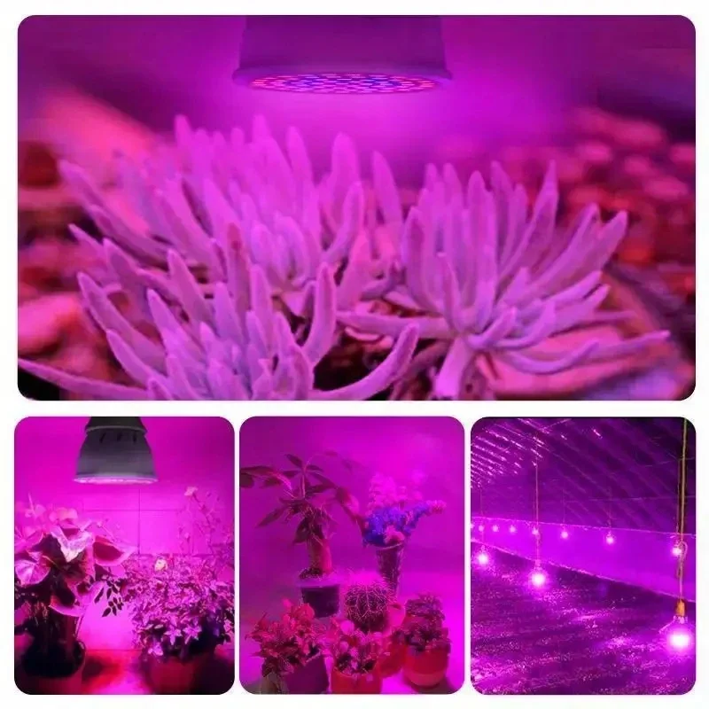 1 szt. LED Lampka do Roślin w Kształcie Kubka E27 Czerwono-Niebieska Lampka Wzrostu Sukulentów Sadzonek i Dodatkowe Światło Pełnego Spektrum