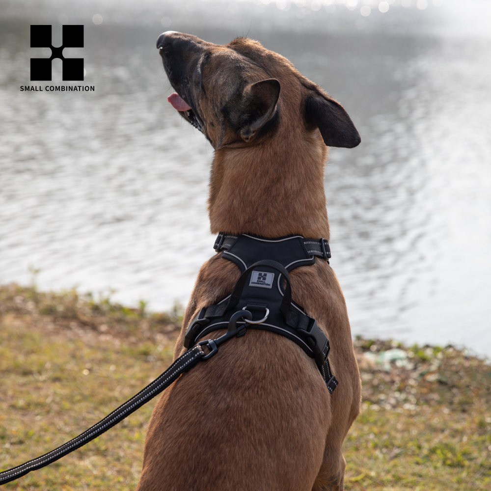 Personalized Dog Harness No Pull Reflective Padded Pet Dog Chest Harness Adjustable for small medium large Dogs Outdoor Walking