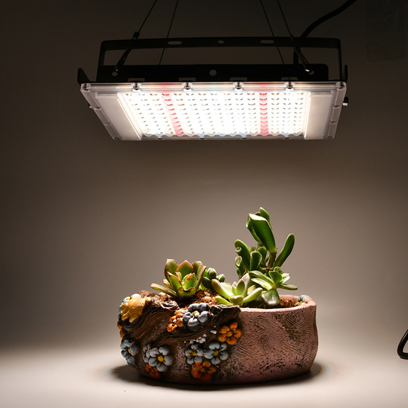 Espectro completo 380-840nm luz de crescimento solar led ip65 50w 100w 300 planta cresce luz com plugue da ue para estufa interna