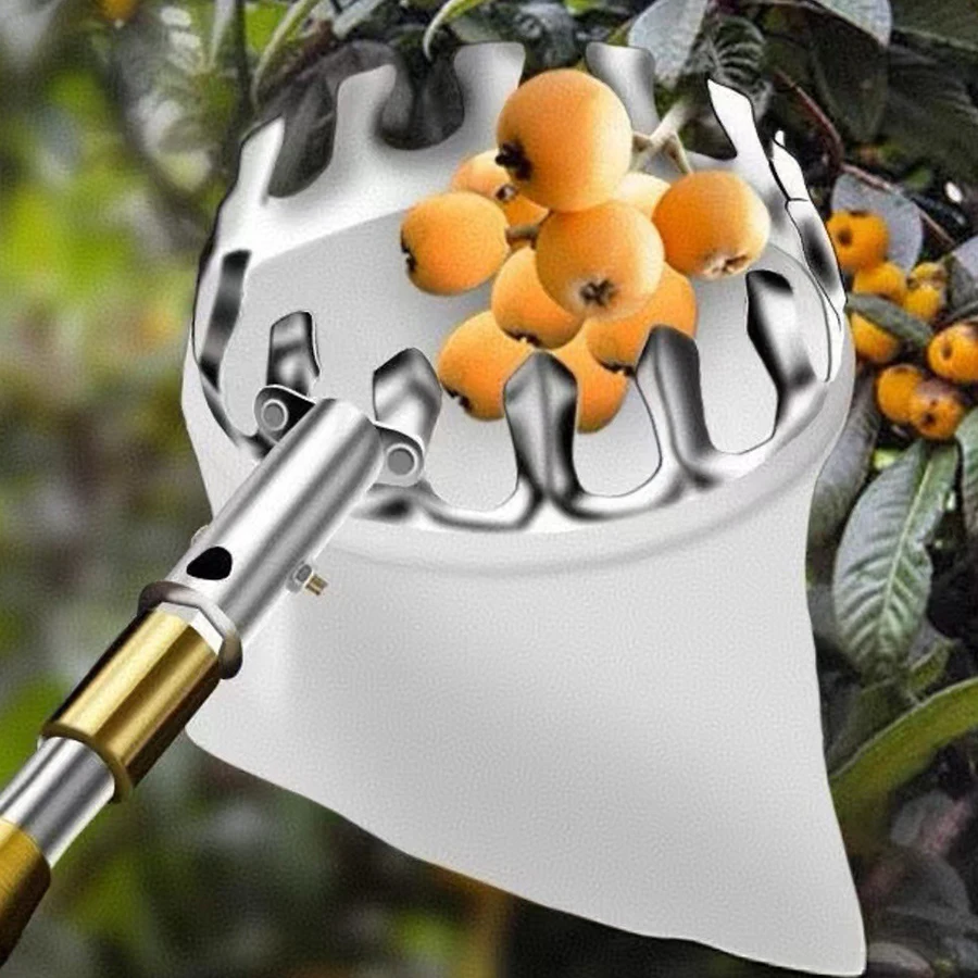 Strumenti per la raccolta di frutta Raccoglitore Raccoglitore di alberi Raccoglitore di frutta Bacche Attrezzo da giardinaggio Forniture per lavori in giardino Utensili Gadget agricoli