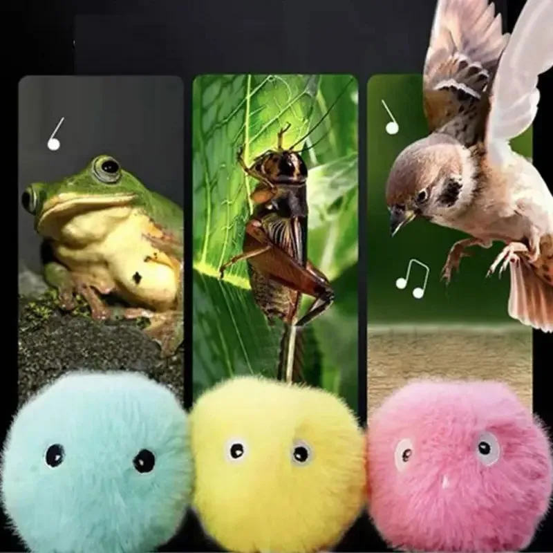 ของเล่นแมวลูกบอลเสียงกบนก Chirping คริกเก็ต EVA Balls Rolling Cat Plush Soft Self-Heeling Teaser ของเล่นสัตว์เลี้ยงอุปกรณ์เสริม