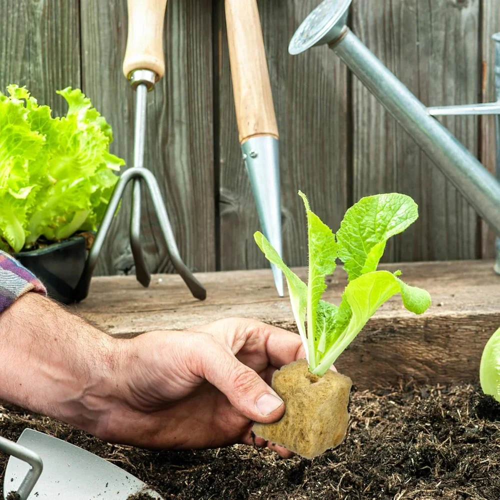 Seedling Grow Cubes Vegetable Planting Cube Stonewool Soilless Hydroponics Plant Seedling Growing Plugs Sponge Block Garden Tool