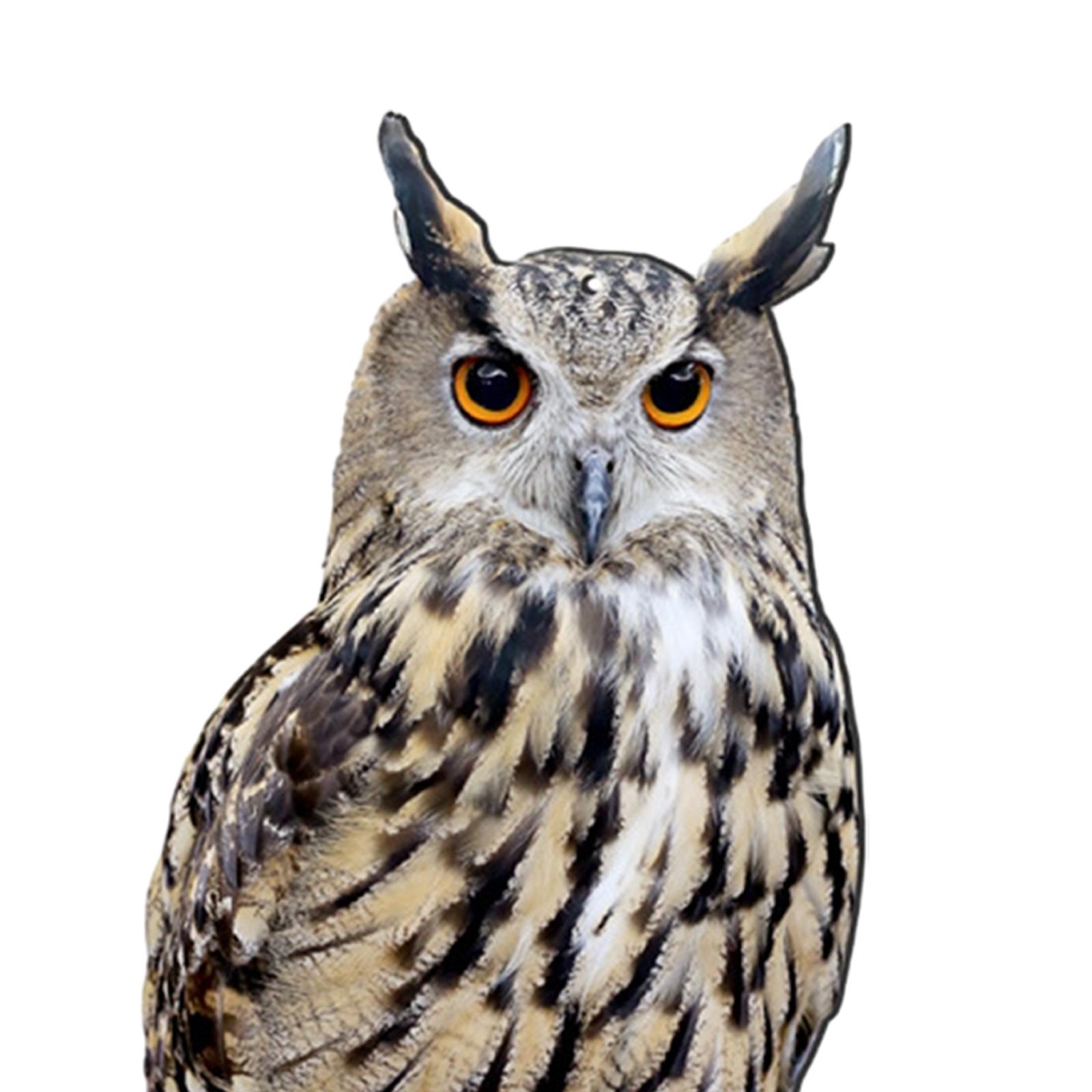 Fake Owl Realistic Decoration Owl to Keep Birds Away Owl Decoy Owl Scarecrow for