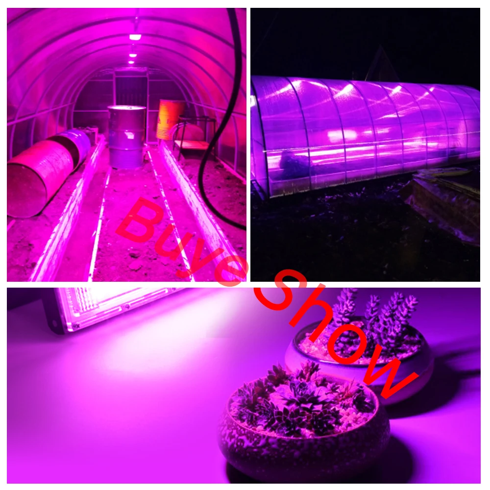 Full Spectrum LED Grow Light PhytoLamp For Plants Tent Flower Seeding 50W AC 220V Range Lamp Outdoor Floodlight Grow Phyto Box