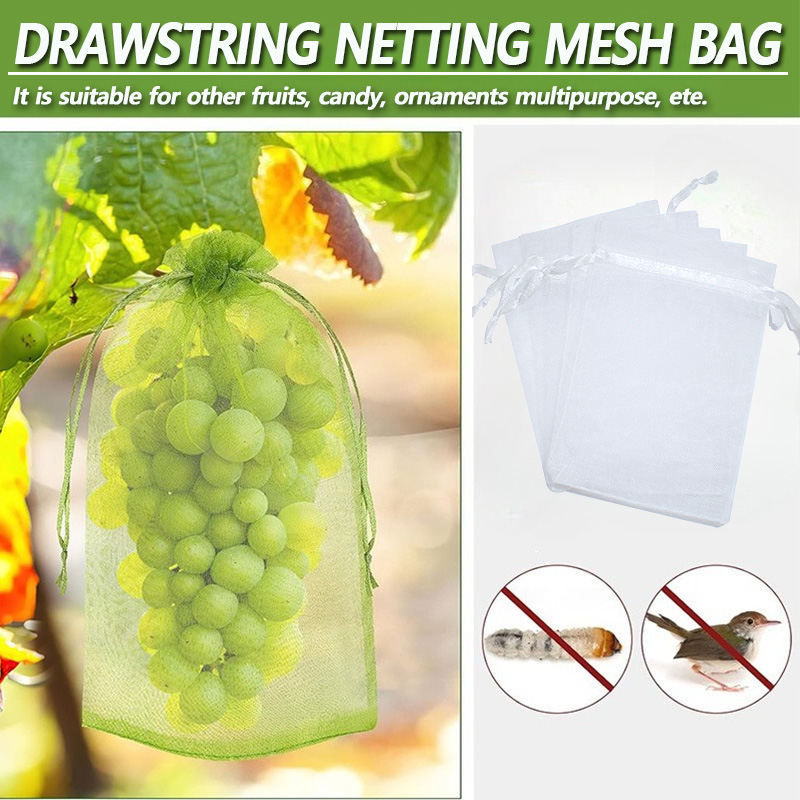 Obst Schutz Taschen Anti-Vogel Garten Netting Taschen Erdbeere Trauben Mesh Tasche Plante Gemüse Netting Abdeckung Garten Werkzeug