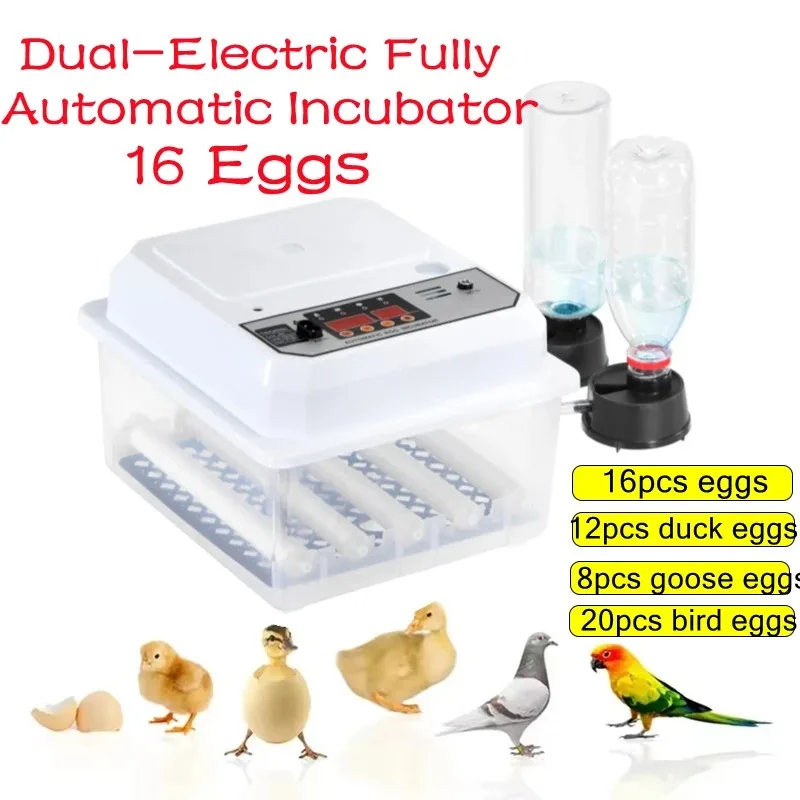 Incubadora de 16 ovos com gaveta tipo mini incubadora de ovos com reabastecimento automático de cama de água iônica e controle de temperatura