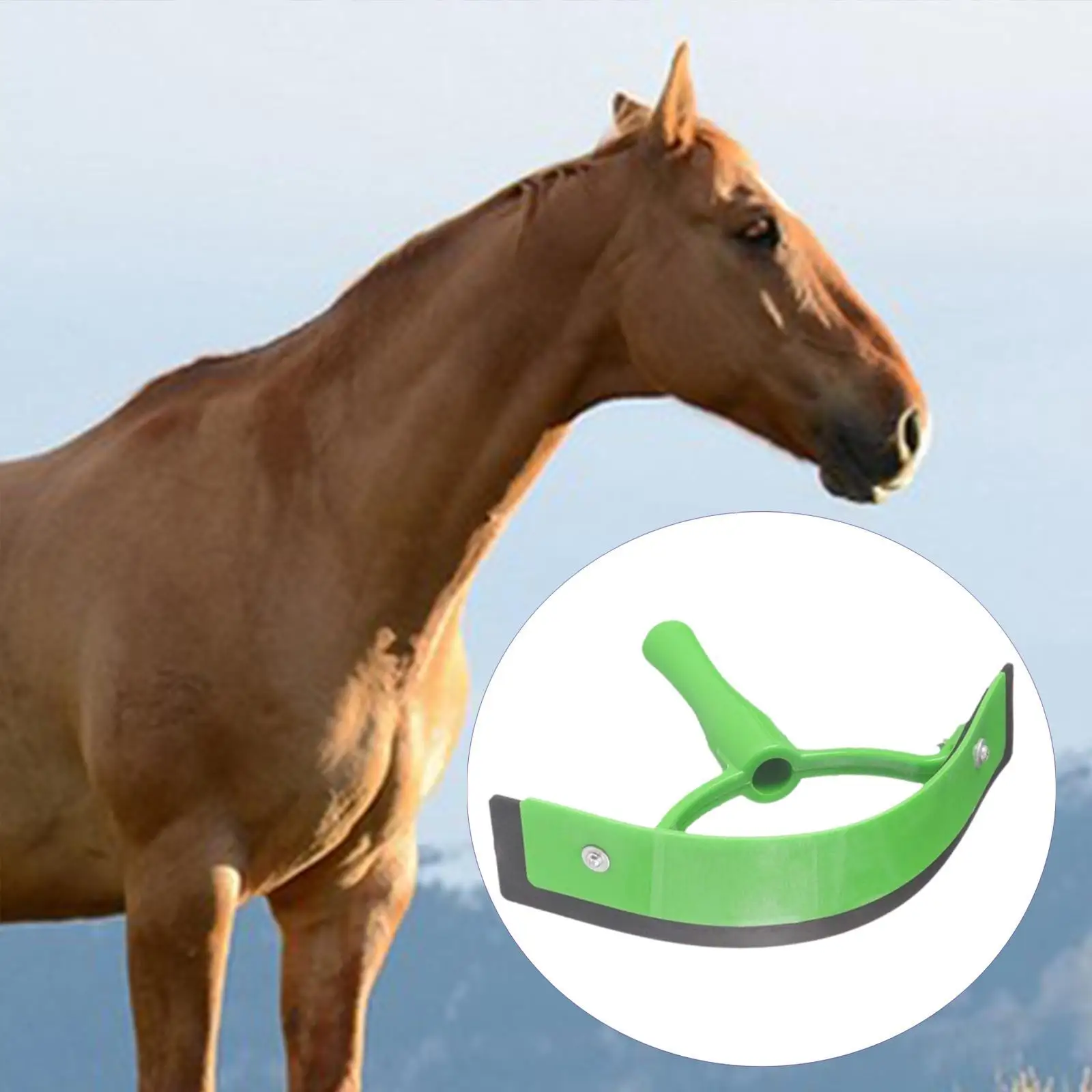 Rascador de sudor ecuino de animales de calidad, cepillo de limpieza para caballos, cuidado de caballos, raspador de sudor