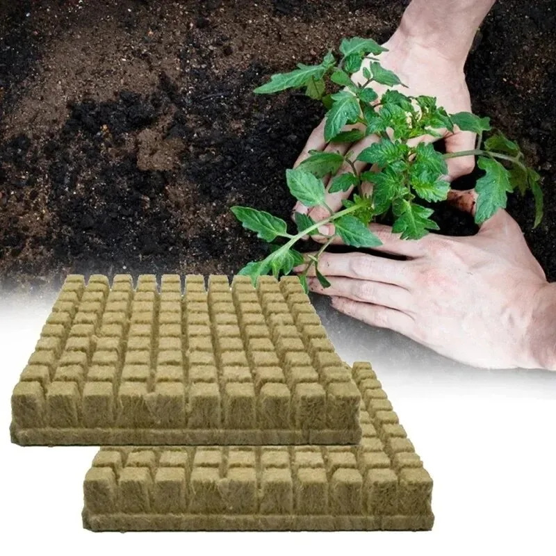 50pcs 25x25x25mm Stonewool Hydroponic Grow Media ก้อนพืชก้อน Soilless พื้นผิว Seeded Rock ขนสัตว์ปลั๊กต้นกล้าบล็อก