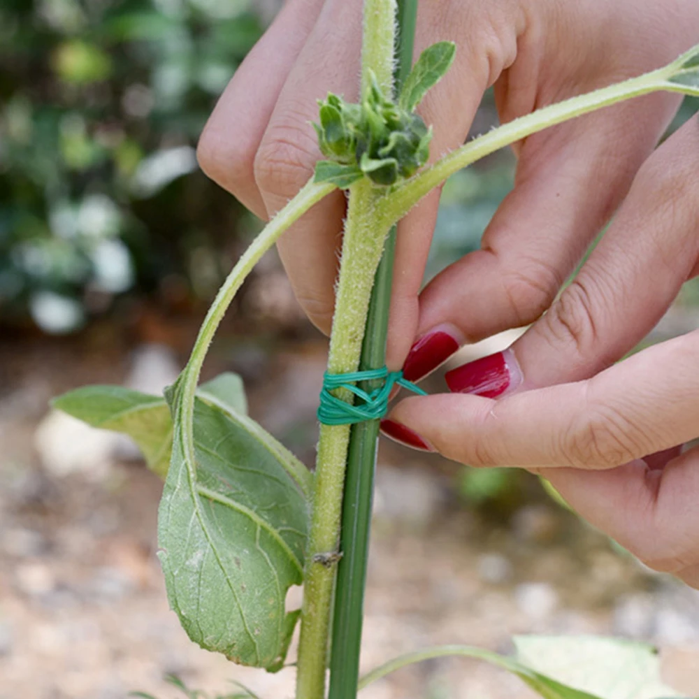 1 rollo de 100M, lazo giratorio de acero y plástico multifuncional, resistente y reutilizable, correa de soporte para plantas y flores de jardín