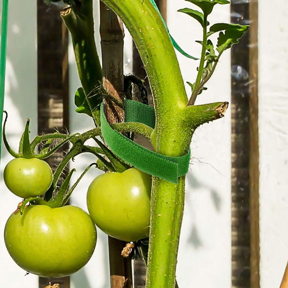 5M/10M Rücken an Rücken Klettverschluss Pflanzenband Klettverschlussband Nylon Selbstklebender Haken Haar Gleiche Datenkabelbinder