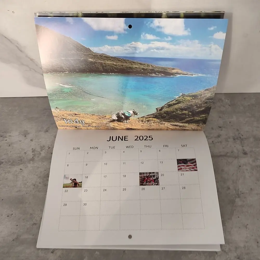 Calendario de pared de perros divertidos, planificador diario semanal mensual, creativo, regalo de escritorio divertido, 2025