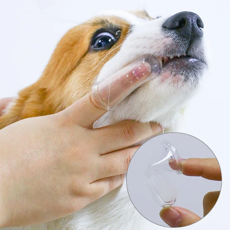 Spazzolino da denti super morbido per animali domestici Spazzolino per cani Teddy Bad Breath Tartaro Strumento per la cura dei denti Pulizia del gatto del cane Gel di silice Forniture per animali domestici
