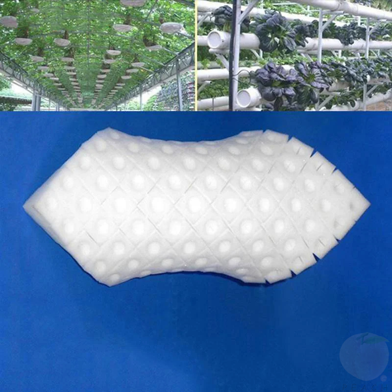 100 ชิ้น/แผ่นพืช Hydroponic ฟองน้ําสวนการเพาะปลูกต้นกล้า Soilless วัฒนธรรมเครื่องมือปลูกผัก Nursery Pots ถาด