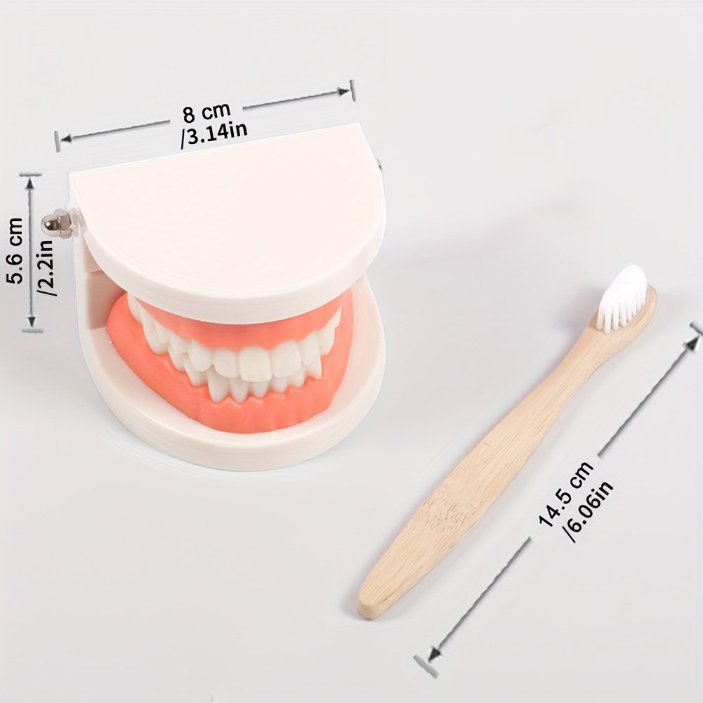 Montessori Educational Toys For Children Early Learning Kids Intelligence Brushing Tooth Teaching Aids Simulated Practical LifeT