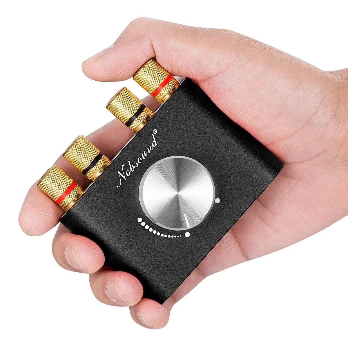 Douk Audio HiFi Bluetooth 5.0 Leistungsverstärker Mini TPA3116 Digital Class D Schreibtisch Stereo Audio Amp für Zuhause Auto 50W + 50W