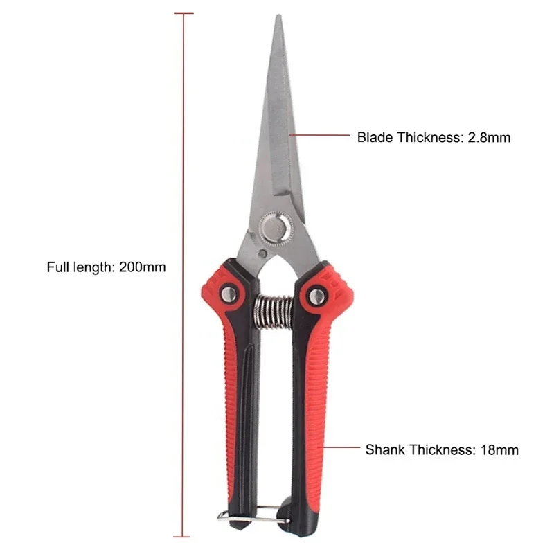 Stainless Steel Pruning Shears Sharp Branch Scissors with Non Slip Handle for Garden Fruit Tree Trimming Tools