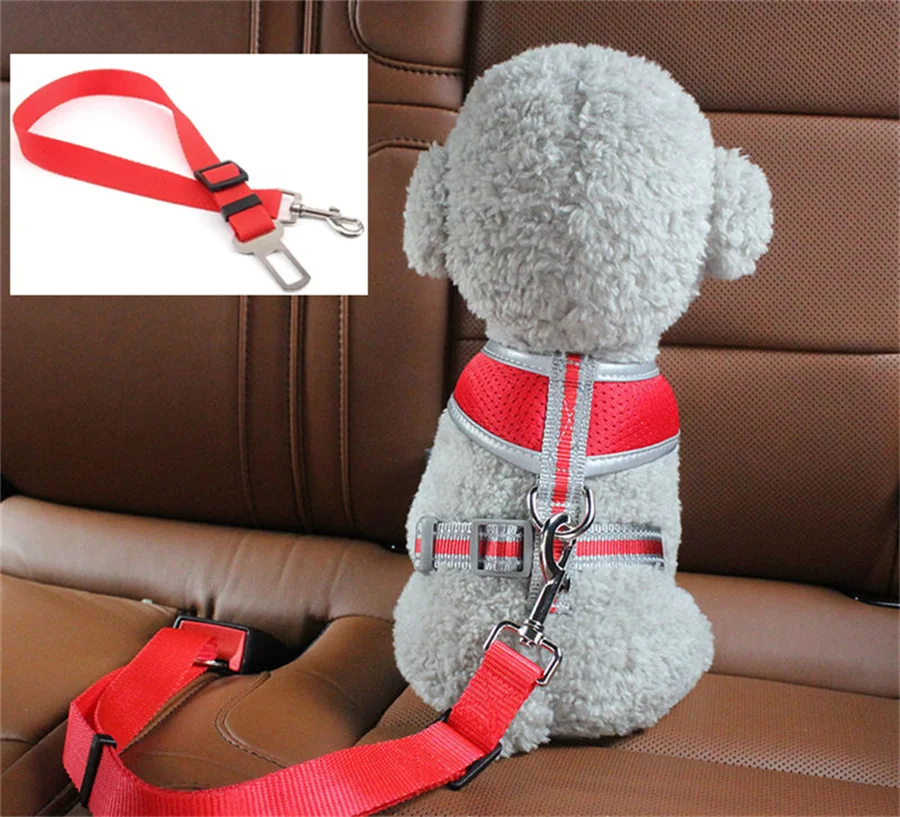 1pc Haustier Katze Hund Auto Sicherheitsgurt Geeignet für Universal Sicherheit Schnalle Einstellbare Sicherheit Seil Hund Auto Sicherheitsgurte hund Zubehör