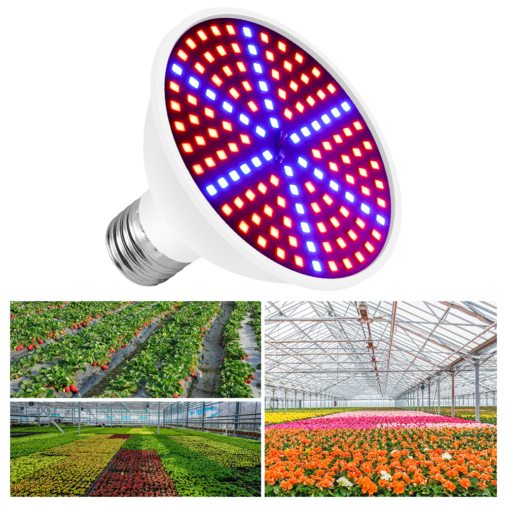 หลอดไฟ Grow LED สำหรับปลูกพืชหลอดไฟ LED ไฮโดรโปนิกส์เมล็ดดอกไม้เต็มสเปคตรัมไฟโตแลมป์สำหรับปลูกพืชในร่ม