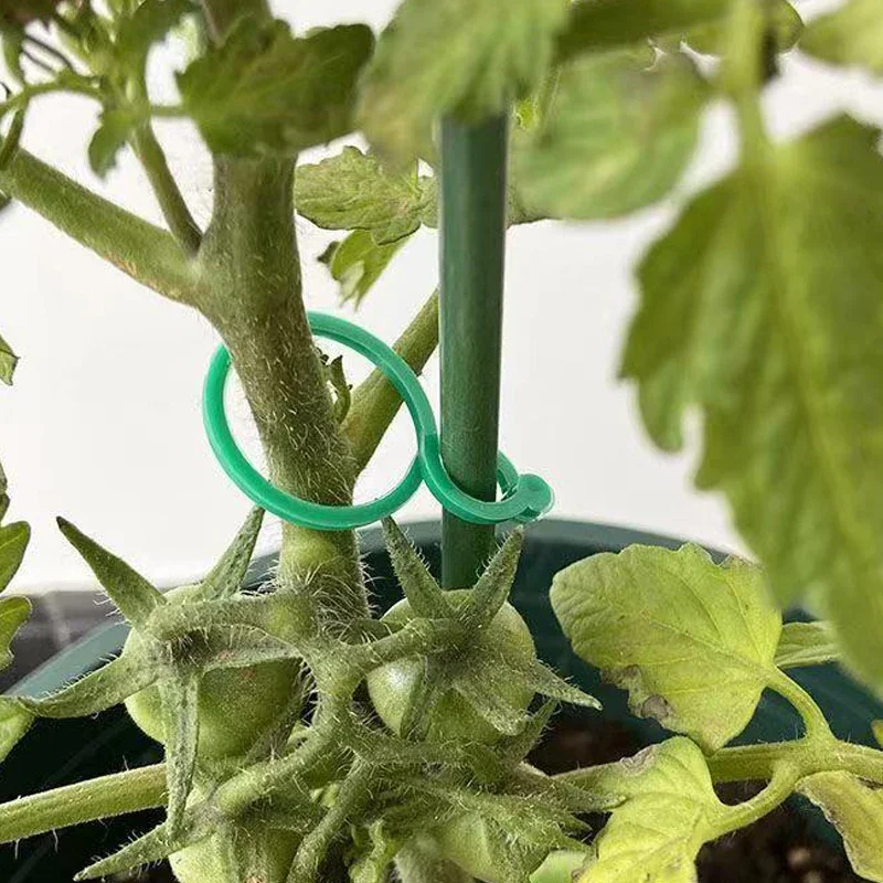 50/100Pcs Garden Vine Tying Clips Plant Vegetable Tomato Binding Fixing Clip 8 Word Buckle Gardening Plant Stand Tool Accessory