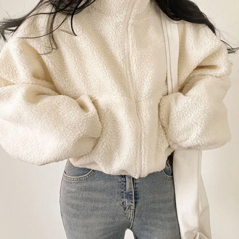 Lucyever-Chaqueta corta de lana de cordero para mujer, abrigo grueso y cálido de felpa con cremallera y cuello levantado, moda femenina, otoño e invierno, 2024