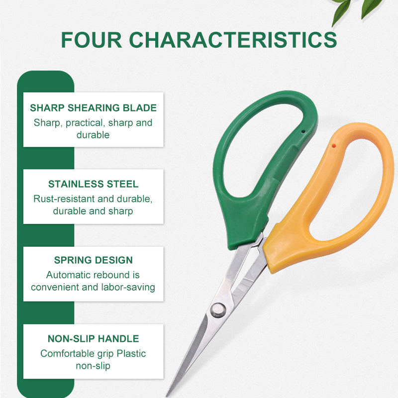 Ciseaux de jardín Alice multifuncionales, robustos, sécateur de frutas et de raisin, con poignées souples et lames incurvées