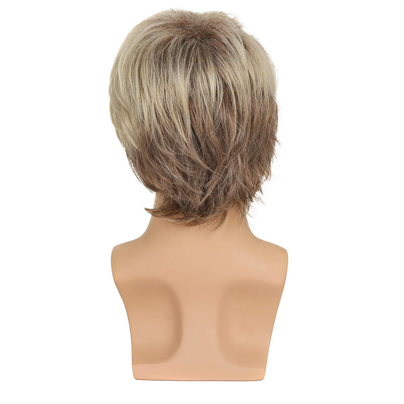 Sylhair 男性ウィッグショートシルバーグレーかつら男性男ショートレイヤードコスプレ仮装パーティー合成耐熱自然な髪