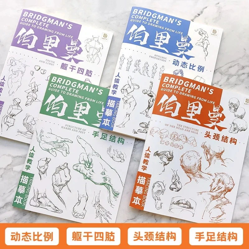 Guía completa de Bridgman para dibujar desde la vida, bocetos de rastreo, libro Tutorial pintado a mano, copia de línea de práctica, libros de práctica de borrador