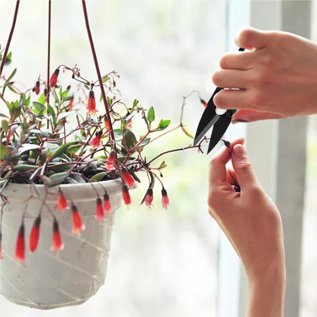 Cesoie da potatura ABS Strumento per tagliare il giardino Piante Fiore Forbici per bonsai Rimozione foglie Strumenti di taglio Verdure Mini Trimmer