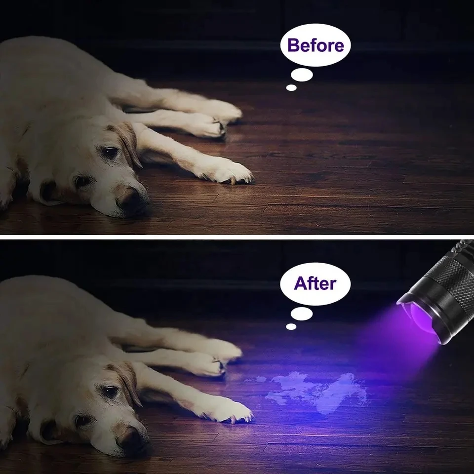 ไฟฉาย LED UV 365/395nm แบบพกพา Mini ไฟฉายอัลตราไวโอเลตกันน้ํา Zoomable สีม่วงปัสสาวะสัตว์เลี้ยงเครื่องตรวจจับแมงป่อง UV โคมไฟ