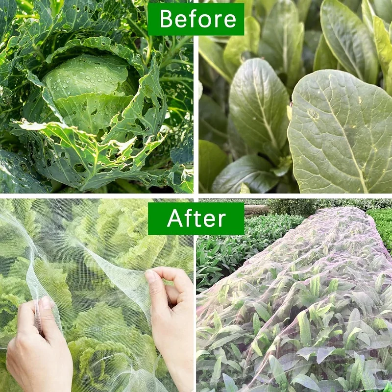 Vegetables Plant Insect Protection Net Garden Fruit Care Cover Network Greenhouse Protective Net Pest Control Anti-Bird Net