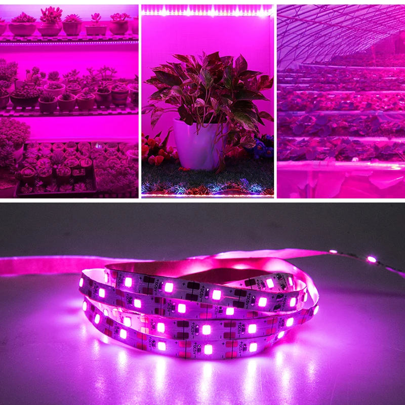 Clearance_Growing Lights, Parts & Accessories_Continuous updates