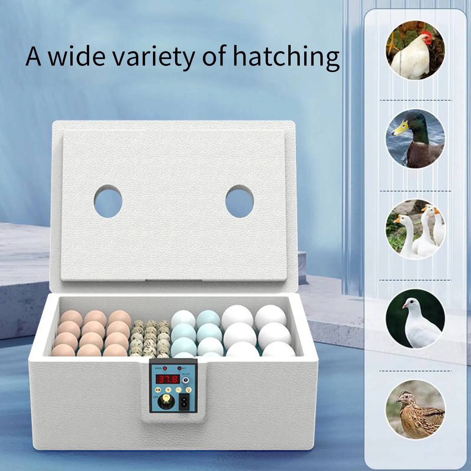 Incubadoras de ovos 10-25 incubadora de ovos de codorna inteligente chocadeira de aves girando galinheiro incubadora para reprodução de berçário estufa