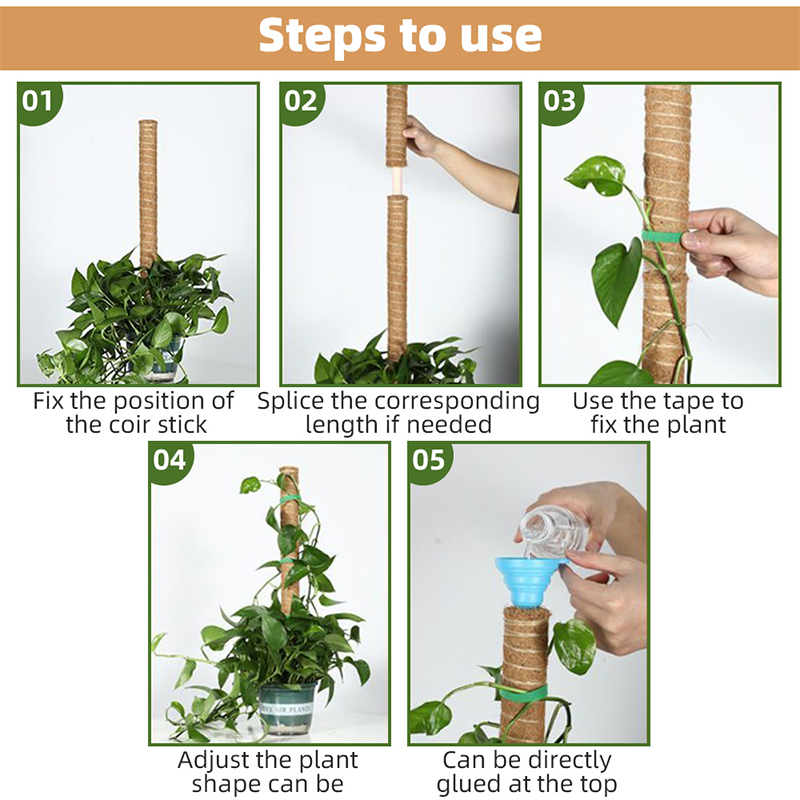 Climbing Totem Pole Plant Support Indoor Climbing Plants Stake Sphagnum Moss