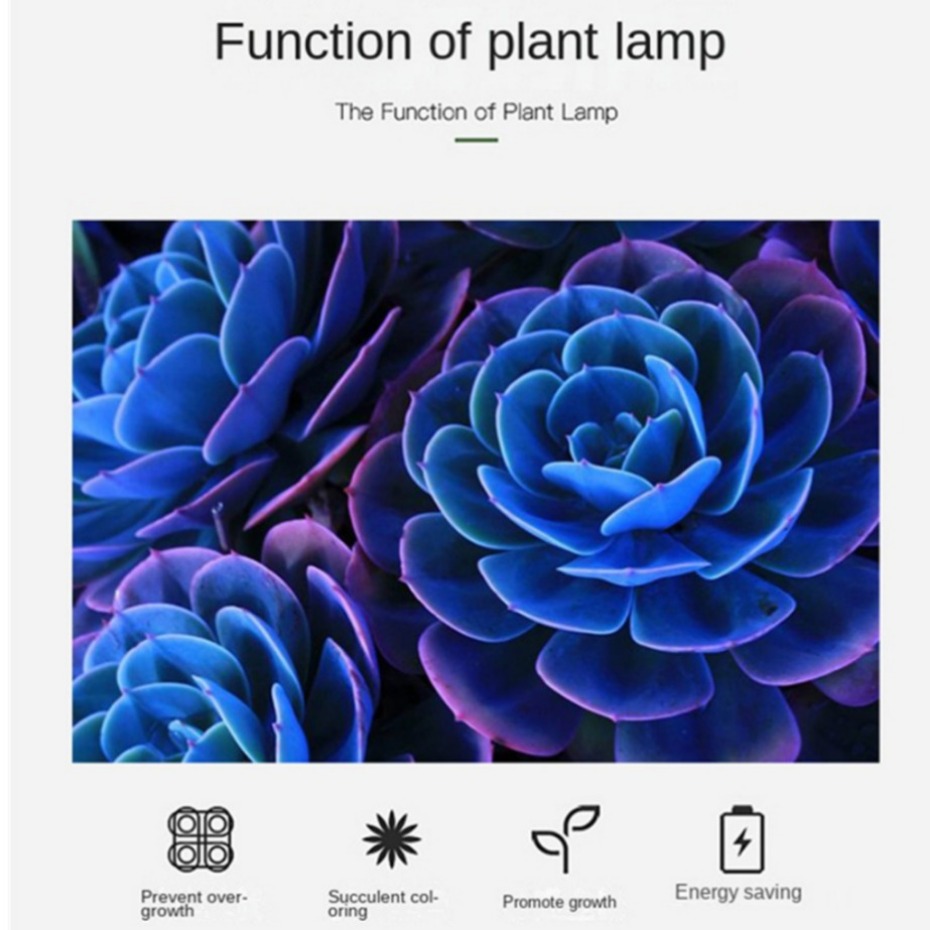 LED Growing Lightในร่มอาหารเสริมแสงพืชเติบโตโคมไฟเรือนกระจกPhytoโคมไฟGrow Red & Blue Hydroponic Growing Light Strip