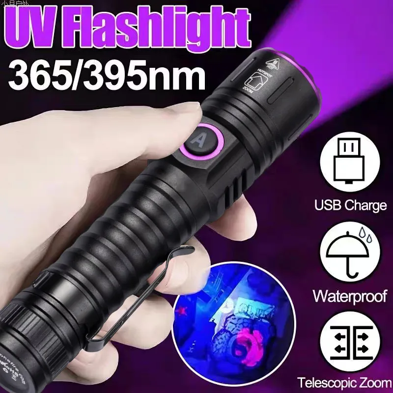 Torcia UV 365/395nm Zoom Type-C USB ricaricabile Luce nera per identificazione, rilevamento dell'urina di animali domestici, scorpione con batteria