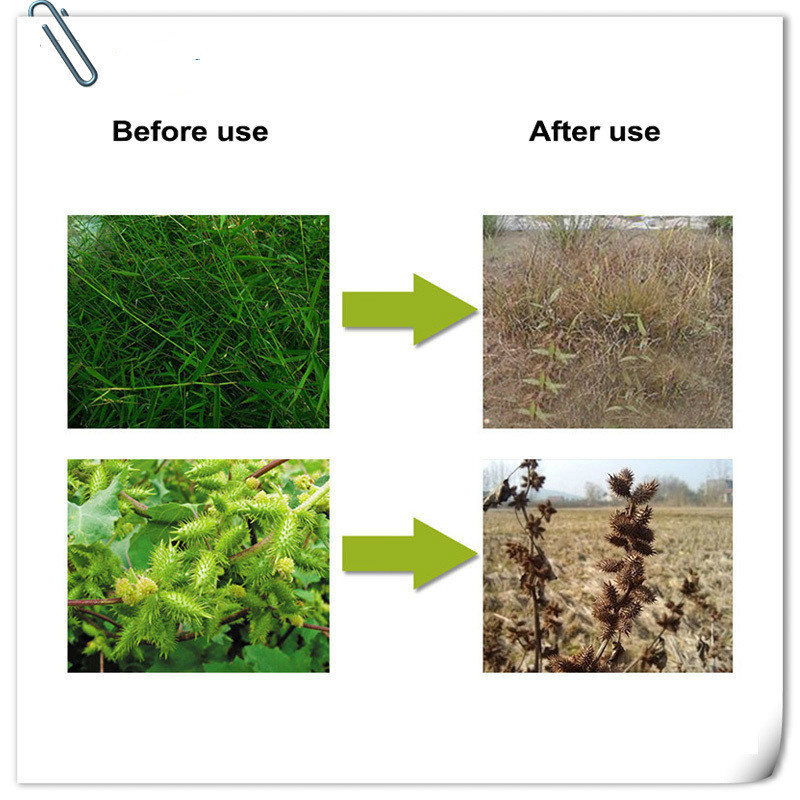 Jardin 95% Nommé Phosate