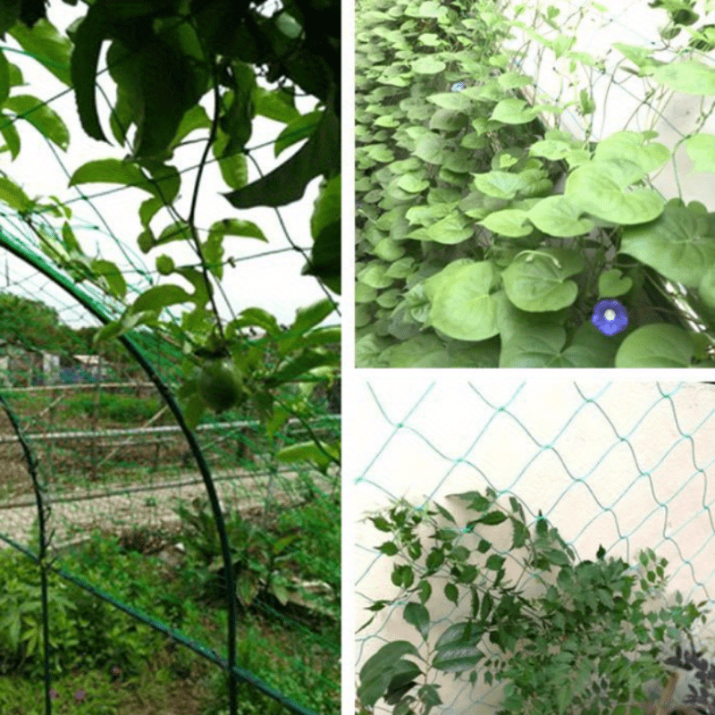 Grünes Anti-Vogel-Netz Teich Pool Schutz netz Mesh Garten Pflanze Obst Gemüse Blumen fallen Netz schützen Schädlings bekämpfung