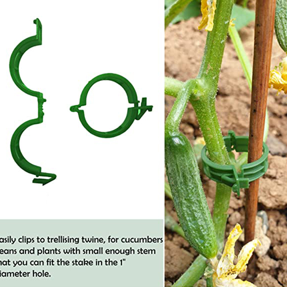 100 PCS พืชสนับสนุนคลิปพลาสติก Trellis Stake คลิปสวน Veggie มะเขือเทศเรือนกระจกสําหรับสวนเครื่องมืออุปกรณ์เสริม