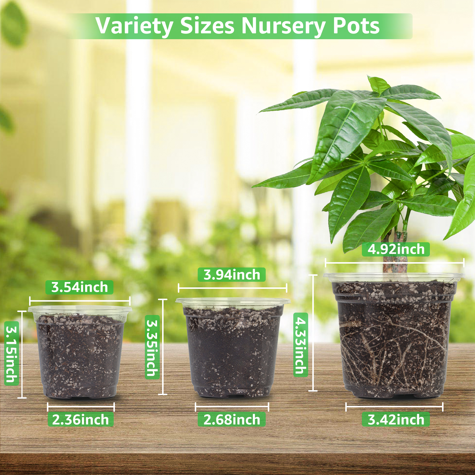 30 paquetes de macetas transparentes para vivero de 3,5/4/5 pulgadas, macetero de plástico transparente con orificios de drenaje, recipiente para plantas y flores