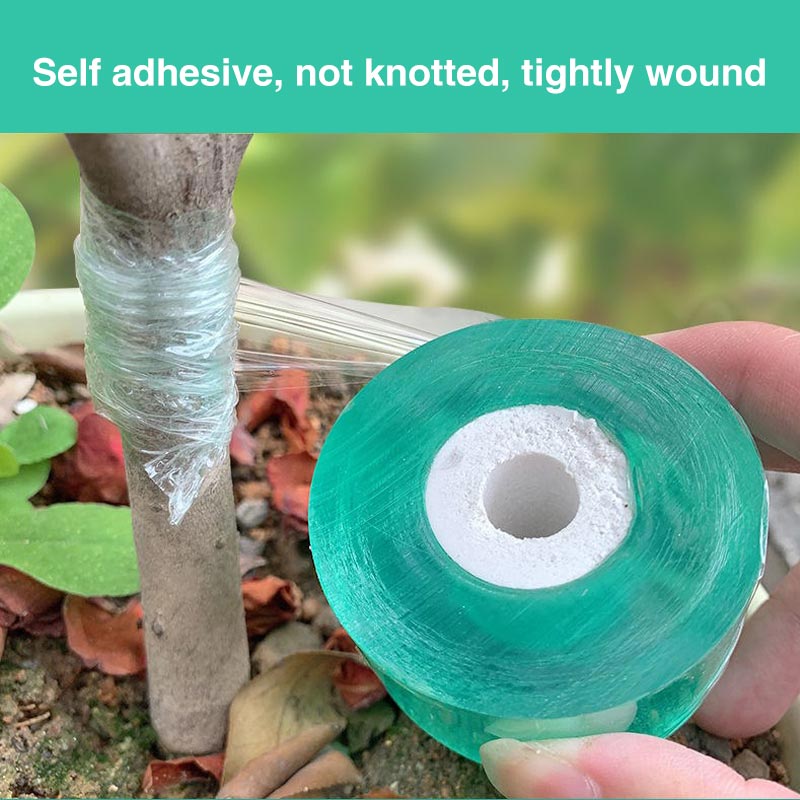 Cinta de injerto biodegradable ecológica, membrana de injerto, cinturón de encuadernación para jardinería, película específica para injerto de plantas, auto Muc