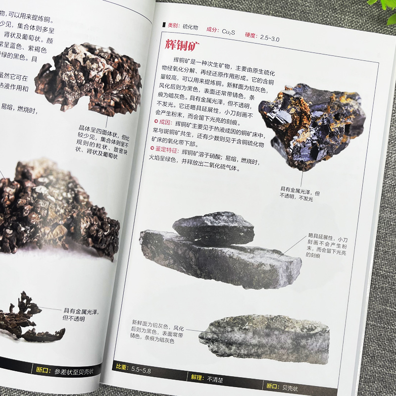 【ベストセラーブランド Bai Bu962.1万点】本物の鉱物と岩石の完全図鑑231Minerals and49Boo
