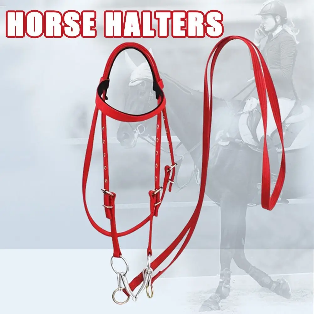 Halteres de caballo engrosados, correa ajustable, cómoda diadema con brida para caballo, ensanchador de cuello de caballo de tres colores resistente