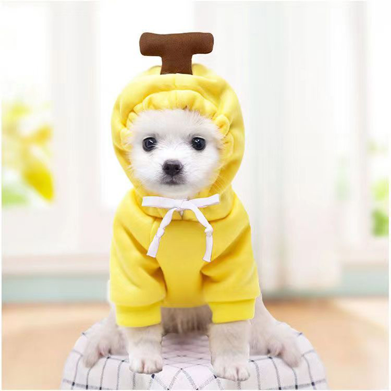 Sudadera con capucha para perro y gato, ropa divertida para mascotas, abrigos con sombrero, disfraz de Halloween, Sudadera con capucha para cachorros y gatos