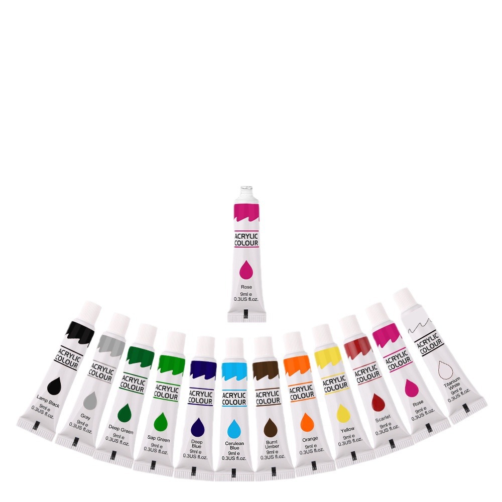 12 Color Acrylic Paint Set 9ml Waterproof Graffiti Painting Pigment Art Supplies for Beginner Artists Hand Painted Canvas Wall