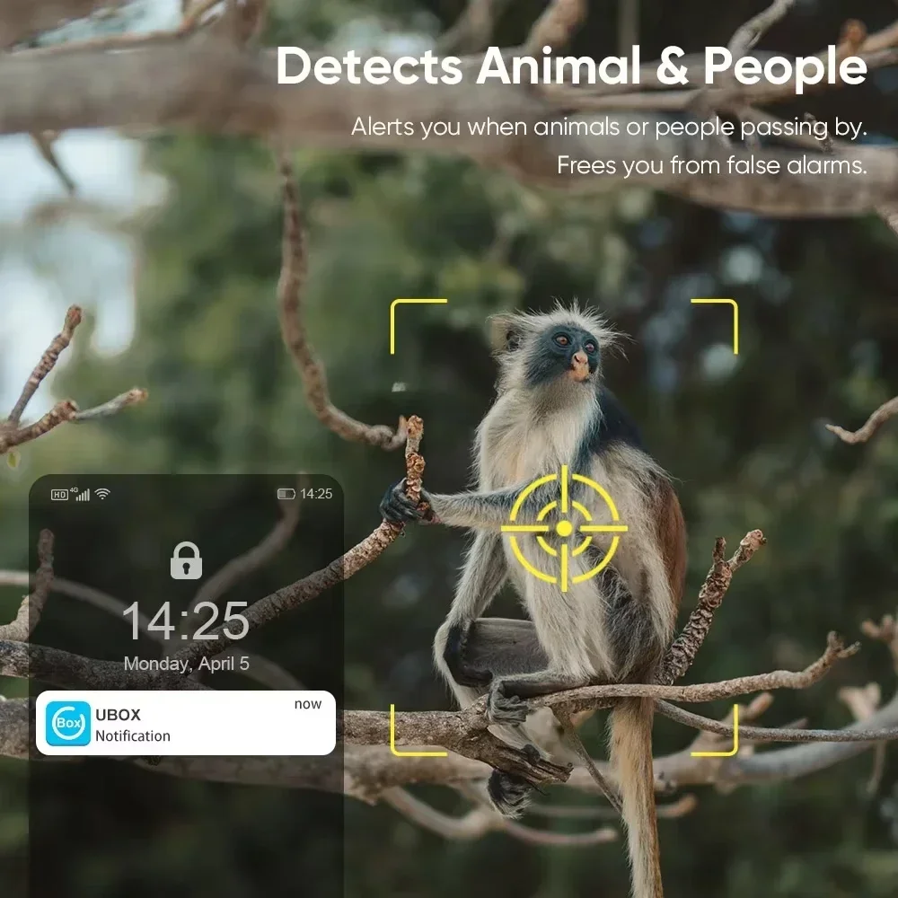 4MP 4G/WIFI Solar Security Camera Wireless Outdoor WiFi Human/Animal Detection 2-Way Talk IP66 Waterproof Wildlife Solar Camera