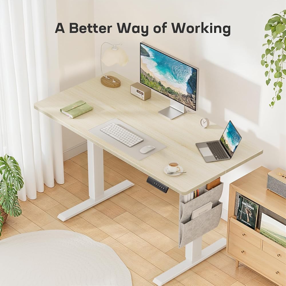 Standing Desk Adjustable Height Home Office Desk,‎48X24 H Electric Standing Desk, Stand Up Desk With Storage Bag,Headphone Hook