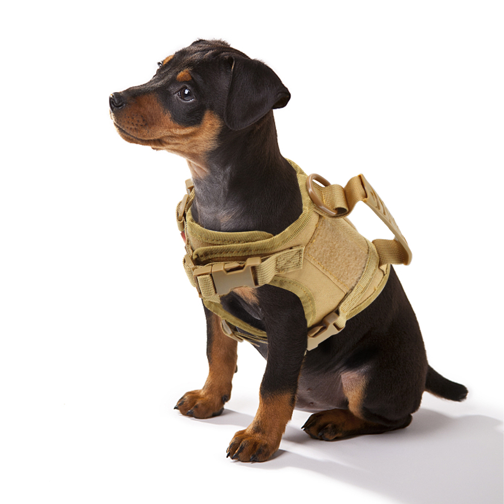 Arnés táctico para cachorros, correa para perros pequeños, gatos, chaleco ajustable para gatitos, servicio militar, entrenamiento de trabajo para perros y caminar