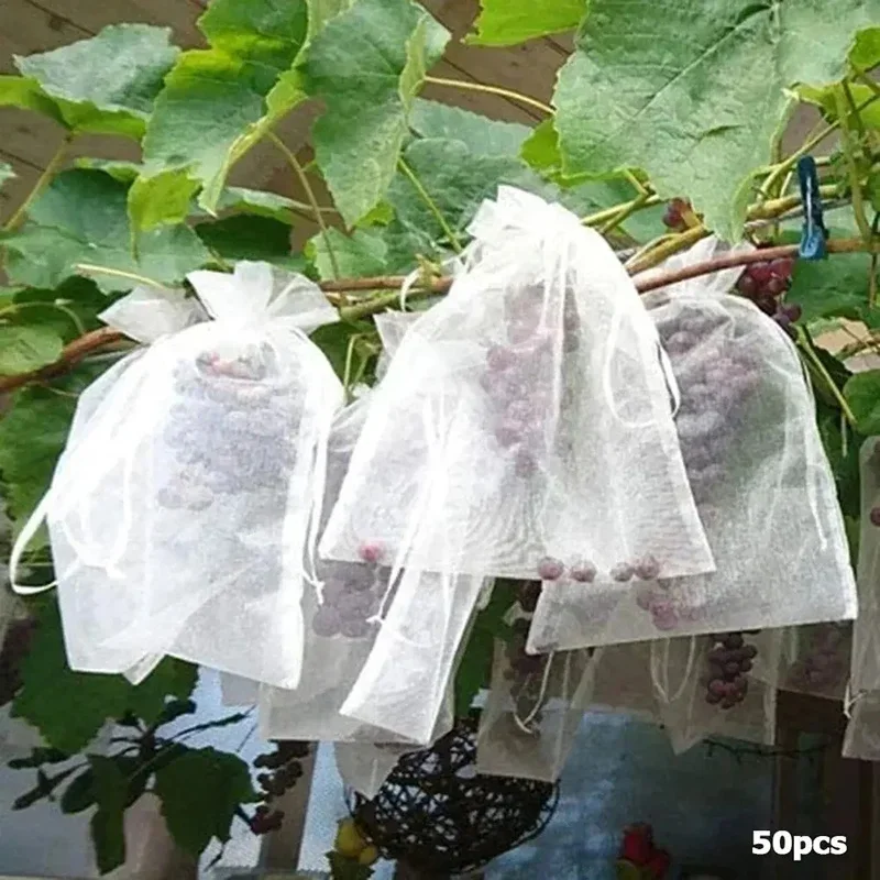 50Pcs Obst Schutz Anti-Vogel Taschen Erdbeere Trauben Mesh Tasche Plante Gemüse Netting Abdeckung Garten Werkzeug
