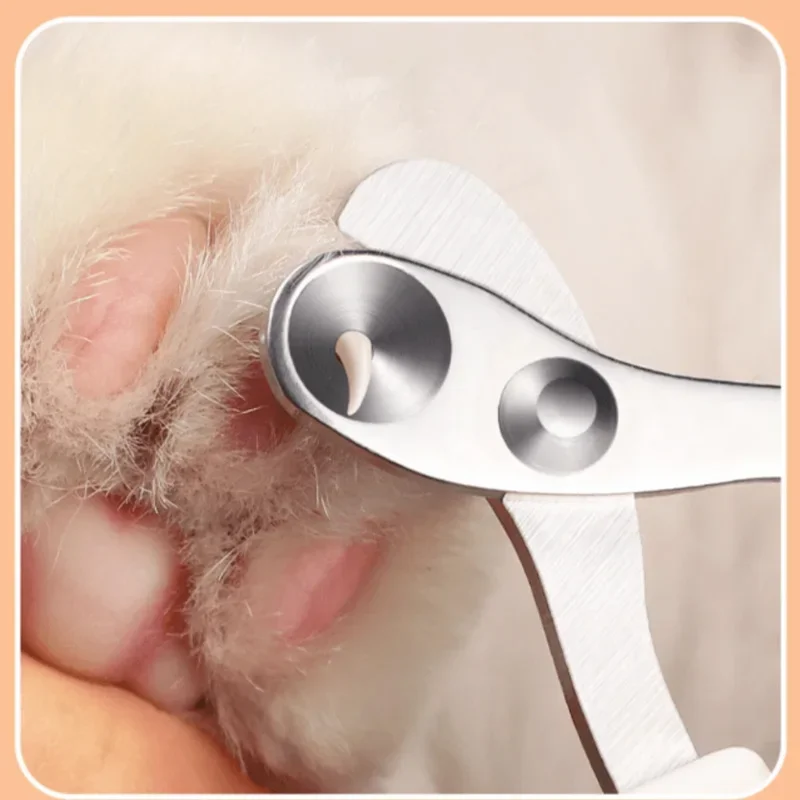 Professional Cat เล็บ Clippers สําหรับแมวขนาดเล็กสุนัขสแตนเลส Puppy Claws เครื่องตัดสัตว์เลี้ยง Nall Grooming Clippers Trimmer