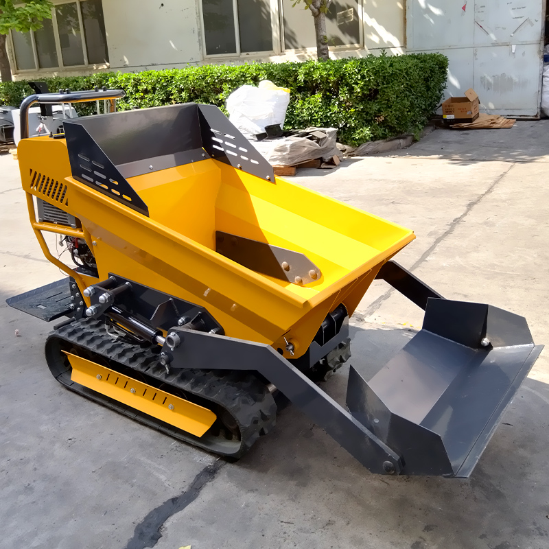 lang.product_image